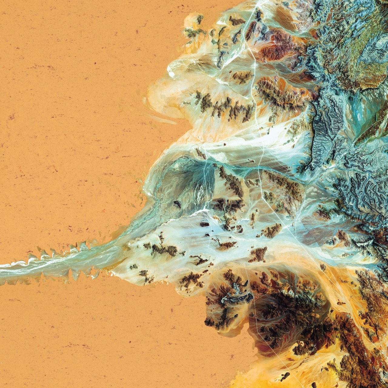 Linoleum-Kollektion mit natürlichen Designs und perfektem Schutz